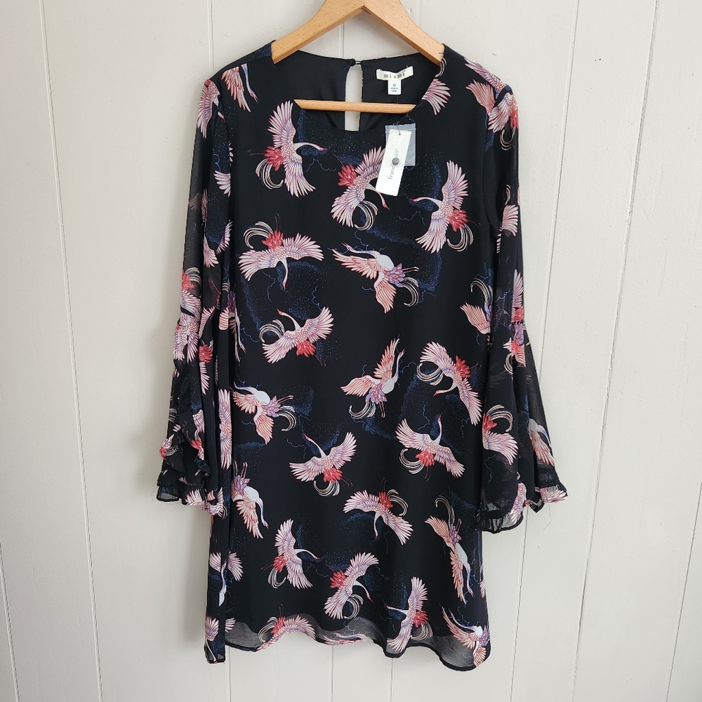 Miami nwt black shift dress Crane bird print bell ruffle sleeves M Francesca's